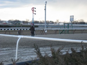 Track vet watching horses